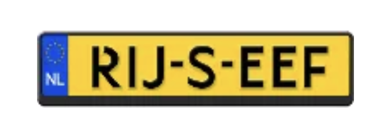 Rijseef